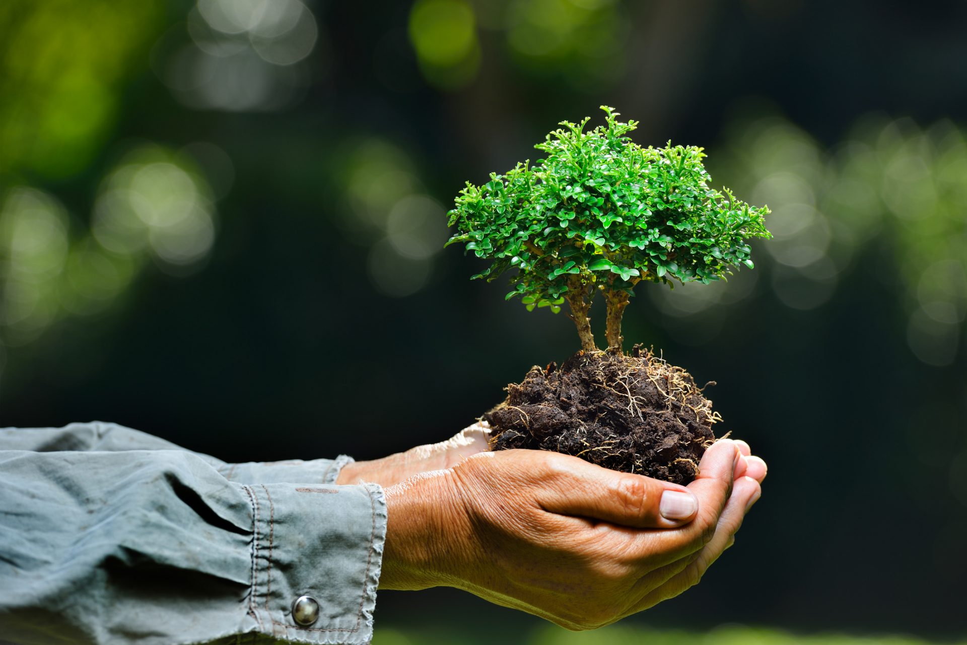 Embrace the Power of Environmental Biotechnology: Paving the Way for a Sustainable Future