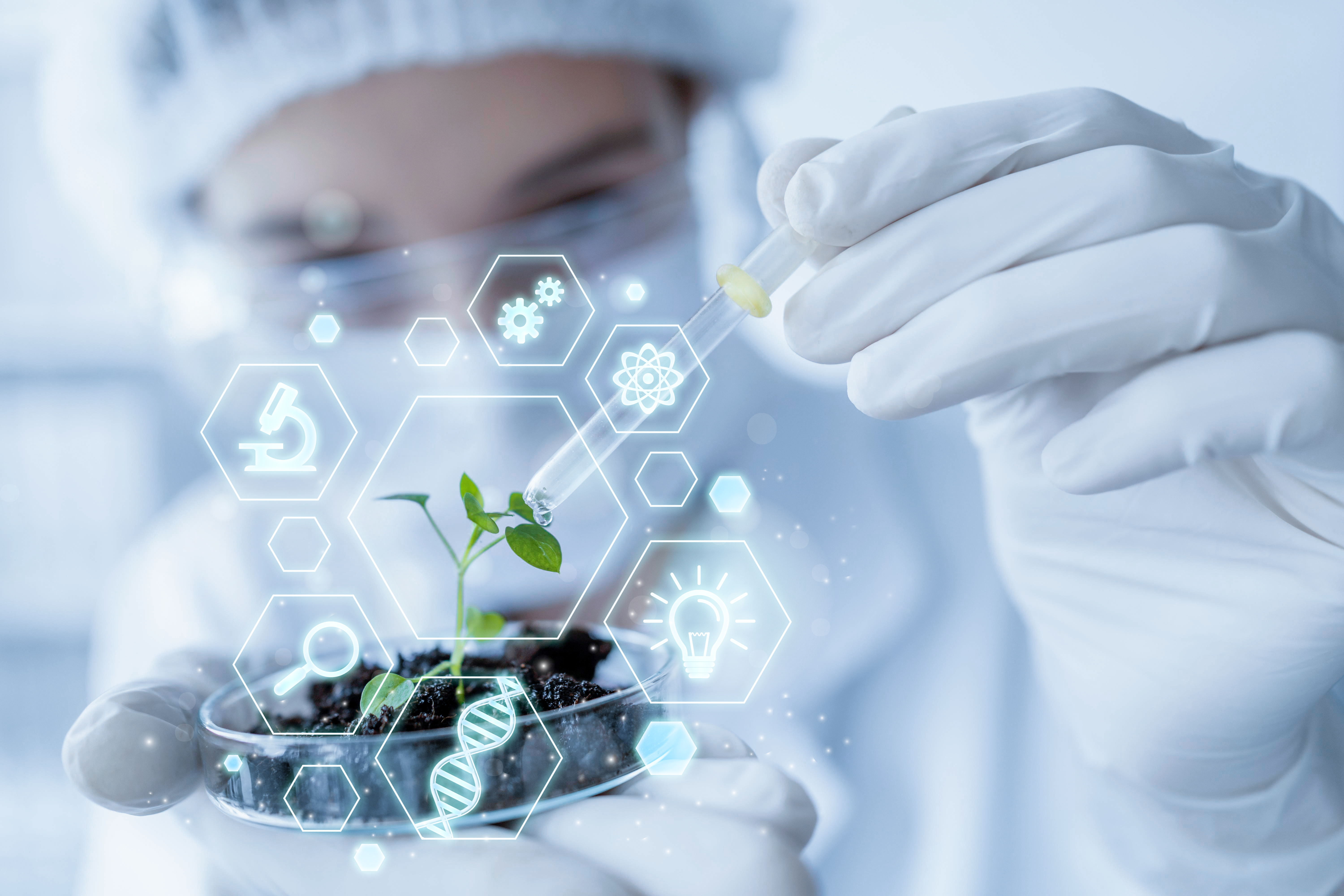 The Rise & Rise of Biotechnology: Unveiling the Potential