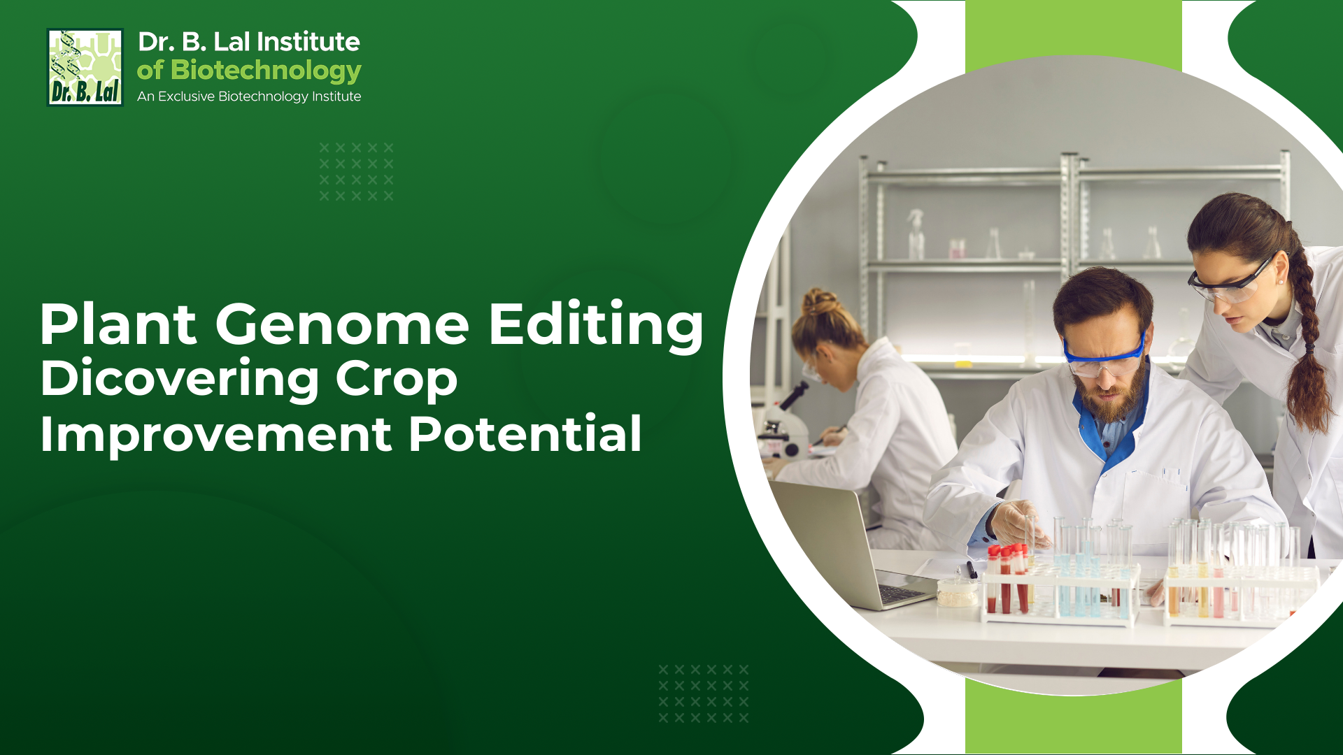 Plant Genome Editing: Discovering Crop Improvement Potential