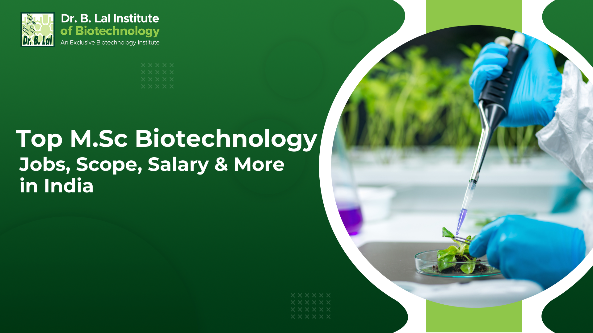 Top M.Sc Biotechnology Jobs, Scope, Salary & More in India