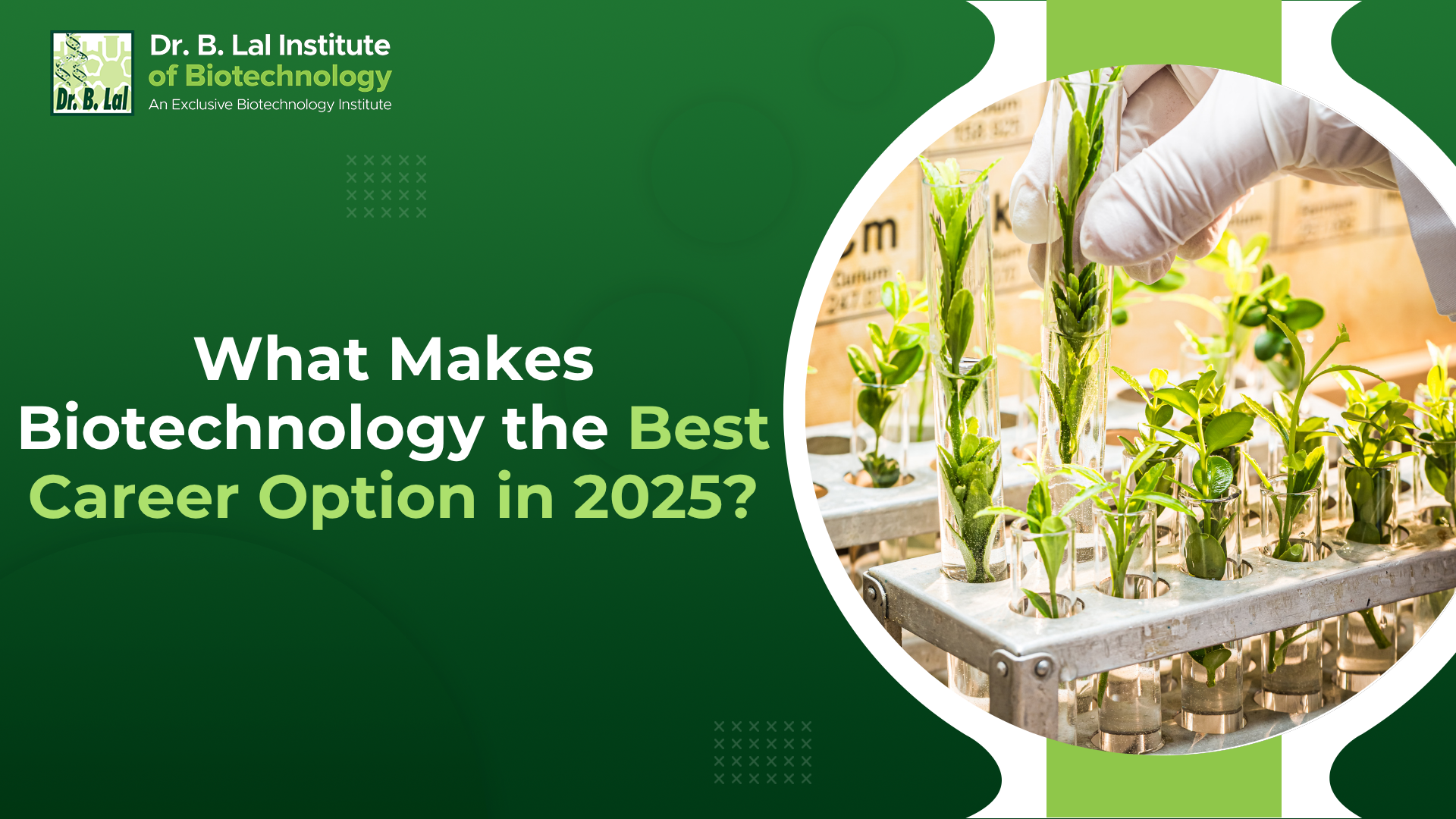 What Makes Biotechnology the Best Career Option in 2025?