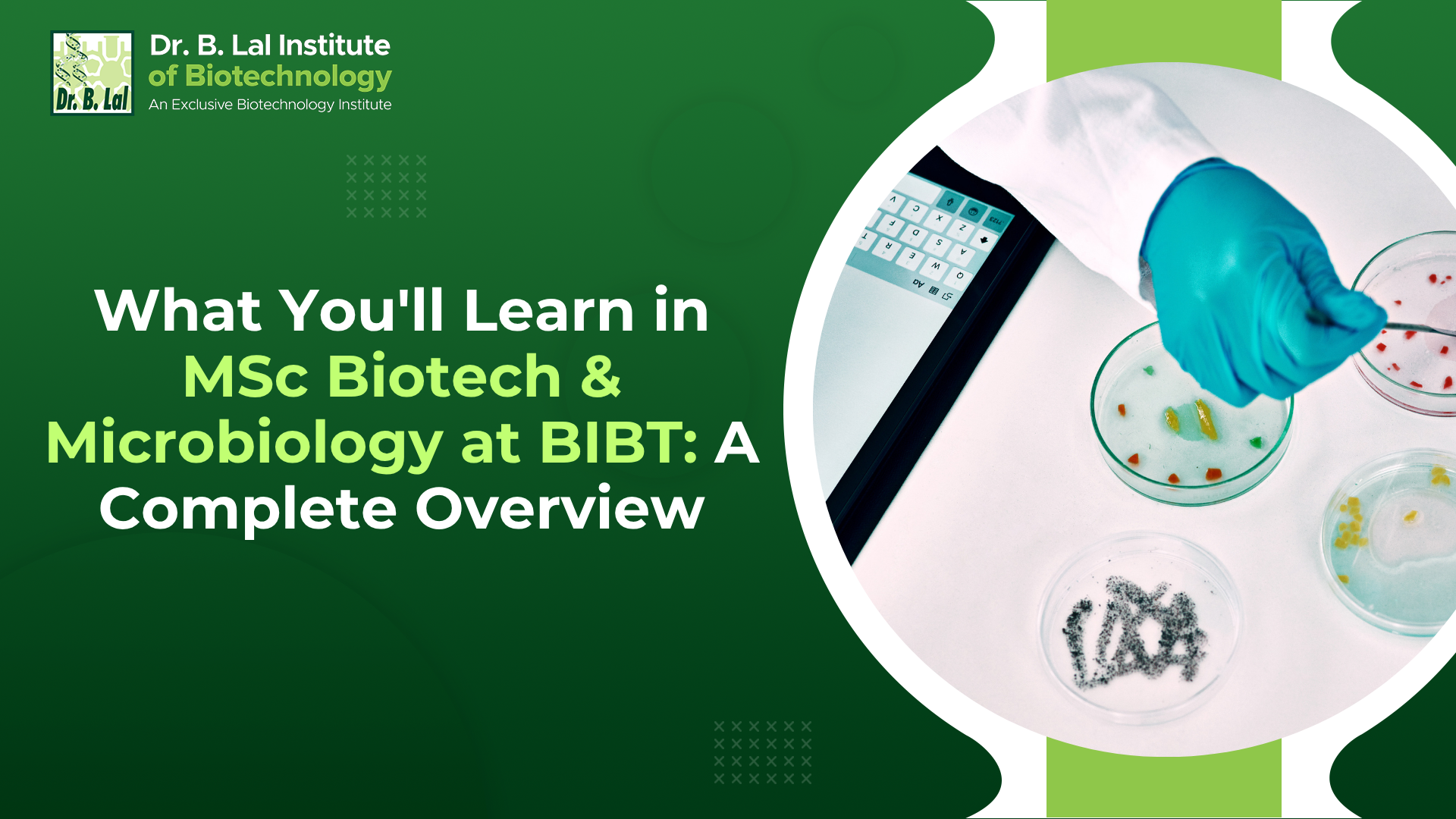 What You'll Learn in MSc Biotech & Microbiology at BIBT: A Complete Overview