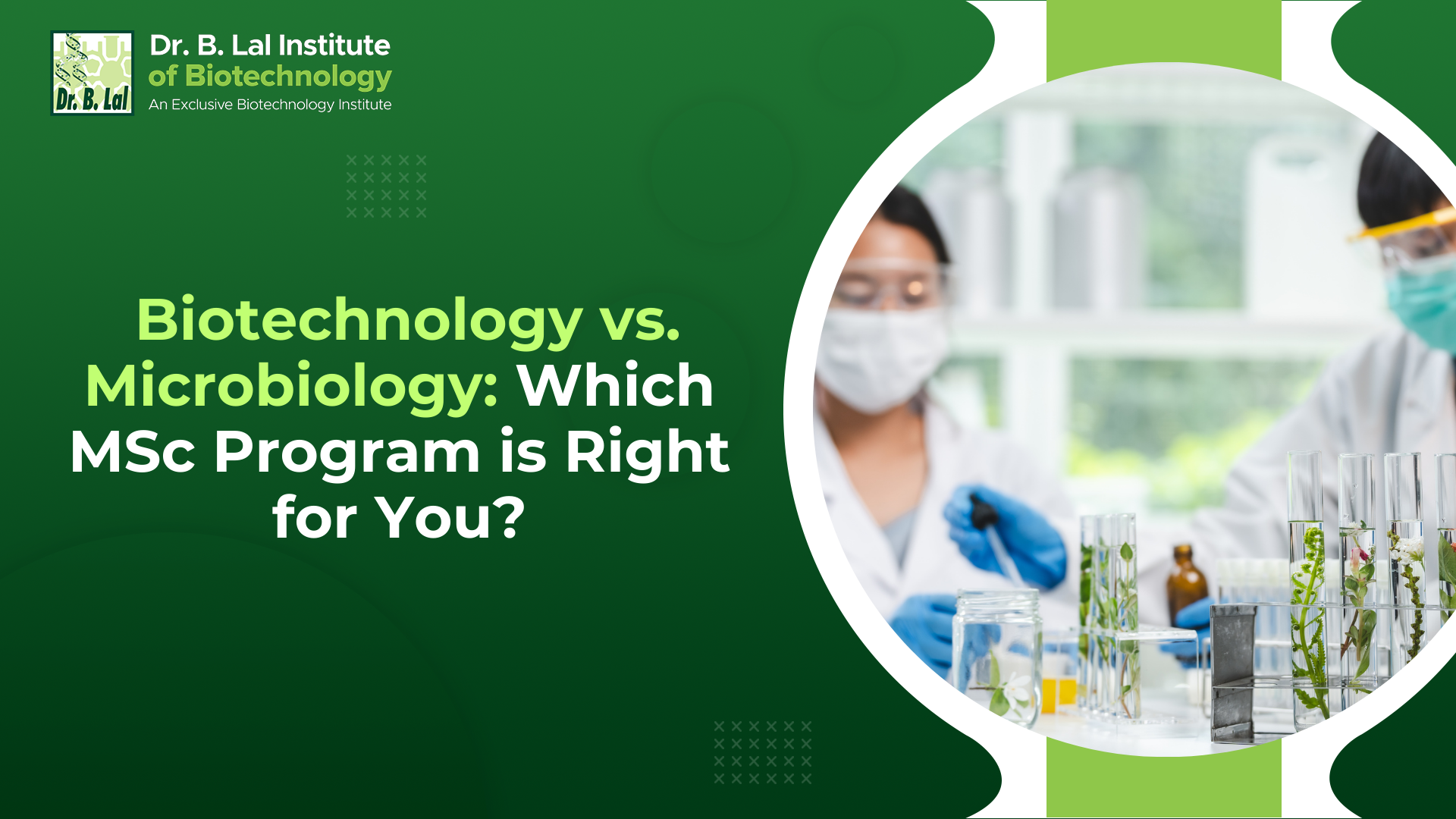Biotechnology vs. Microbiology: Which MSc Program is Right for You?