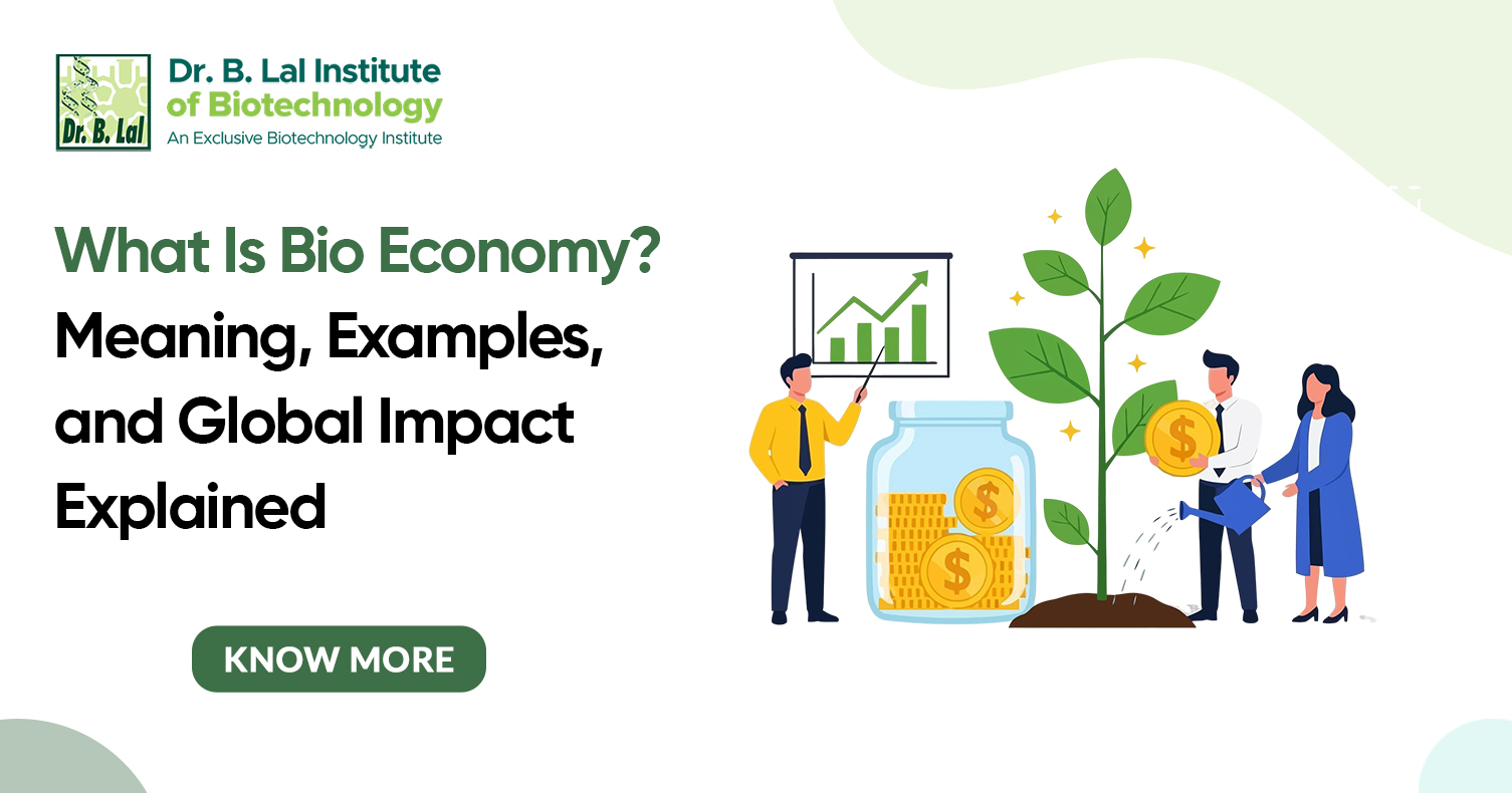What Is Bioeconomy? Meaning, Examples, and Global Impact Explained