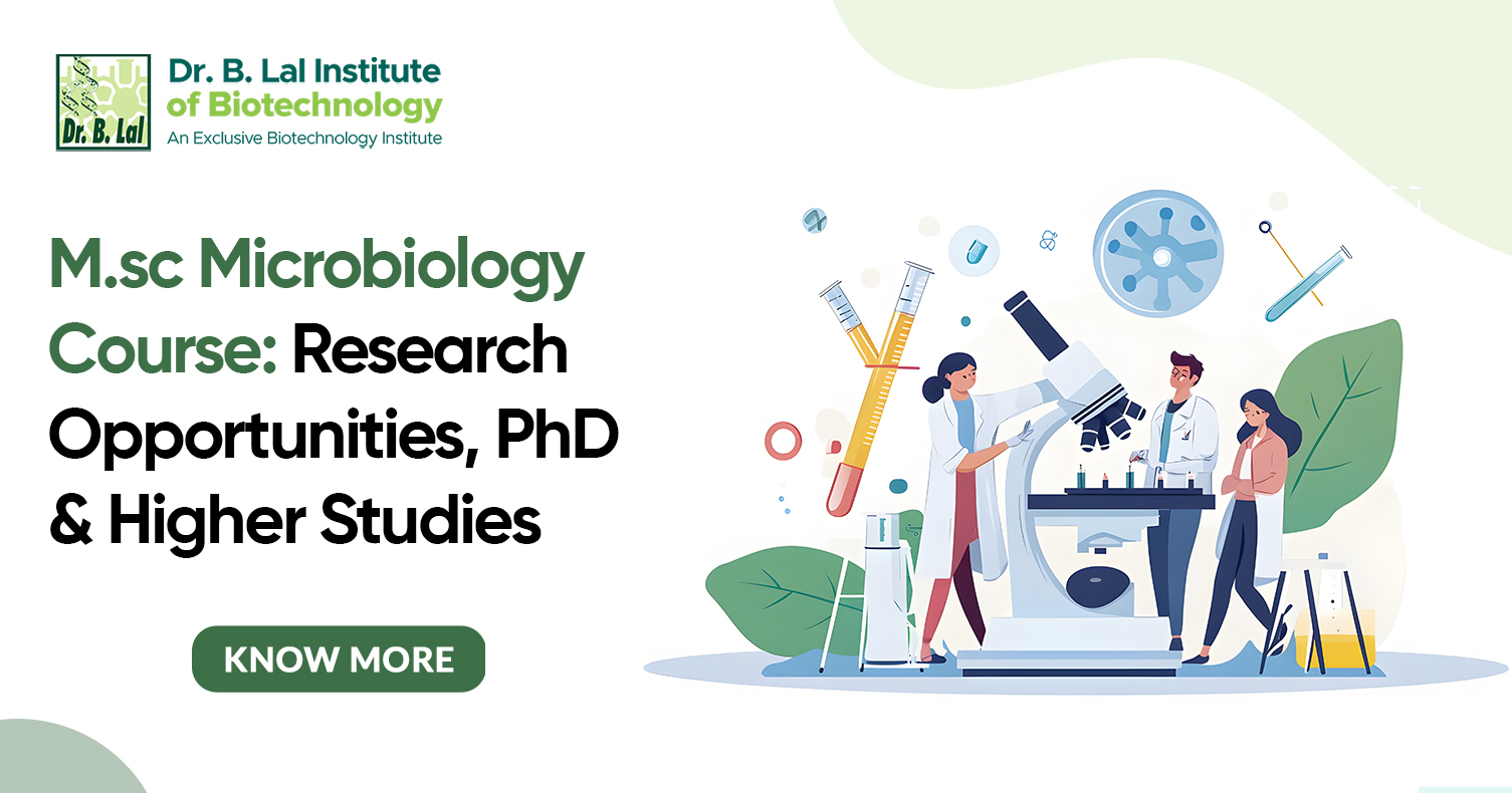 M.Sc Microbiology Course: Research Opportunities, PhD & Higher Studies