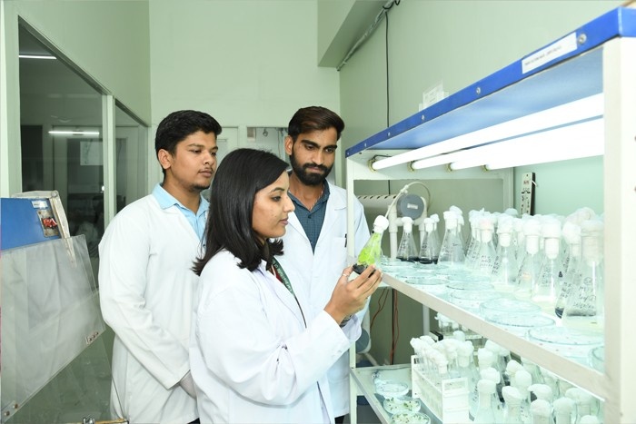 Industrial Biotechnology Training