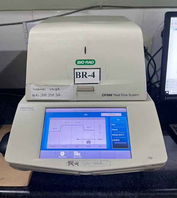 RT-PCR System