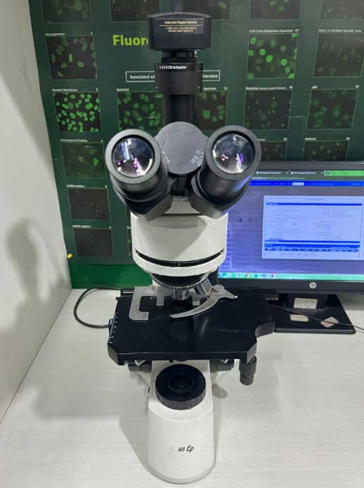 Inverted Microscope