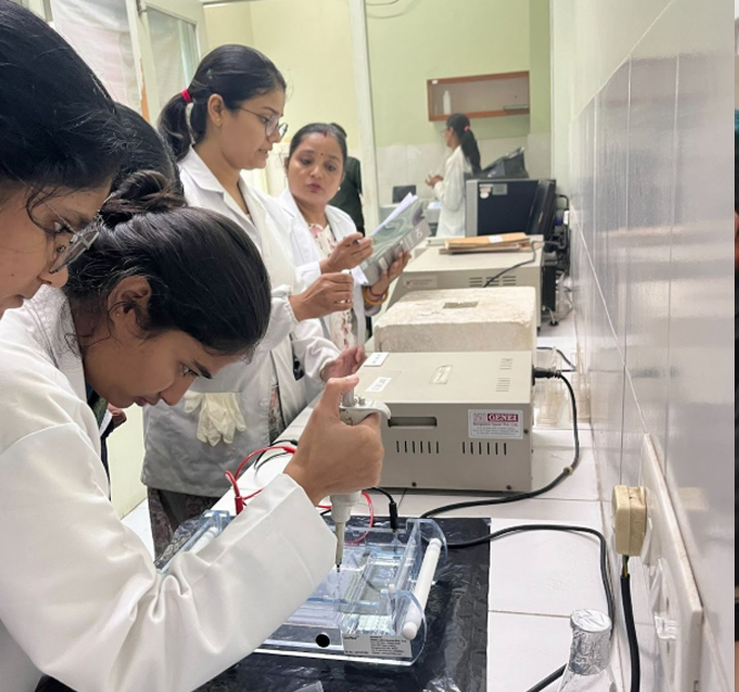 Gel Electrophoresis