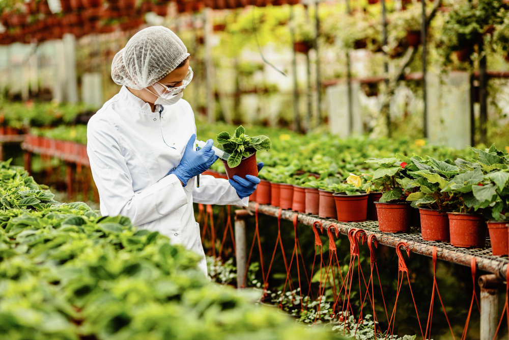 Plant Biotechnology / Plant Tissue Culture